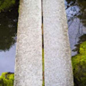 Meet your Posher, Daryl ann